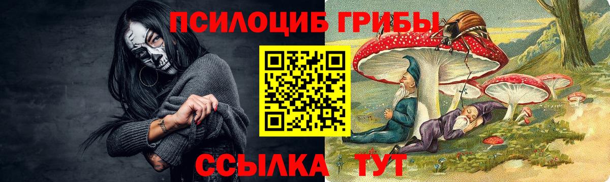 Галлюциногенные грибы Psilocybe  Вход с VPN  Ярославль 